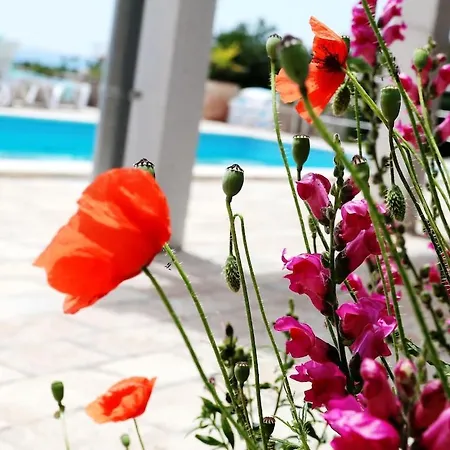 Oleander Romantic For 2 People With Pool Garica
